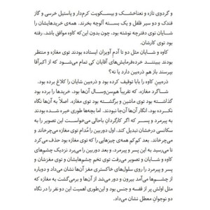 اسکارفیس و طوطی سفید