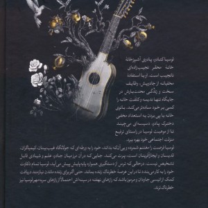 انیس
