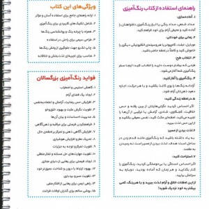 رویای زمستان