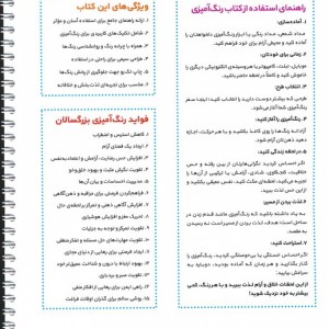 جنگل سرسبز