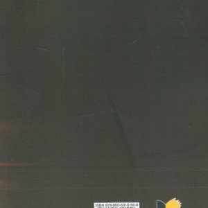 قدرت ویرانگر