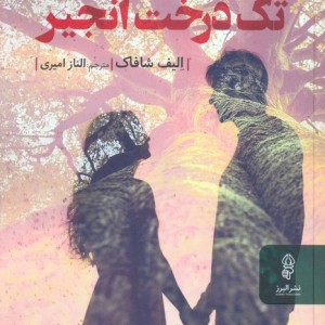 تک درخت انجیر