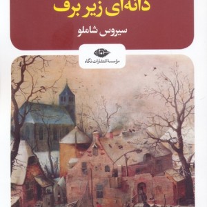 دانه ای زیر برف