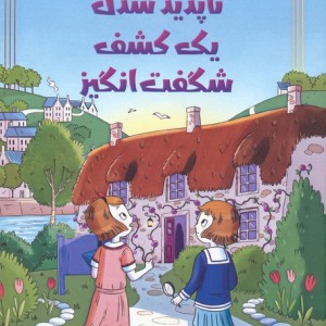 ناپدید شدن یک کشف شگفت انگیز