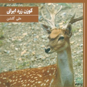 گوزن زرد ایرانی نشر کانون پرورش فکری کودکان و نوجوانان