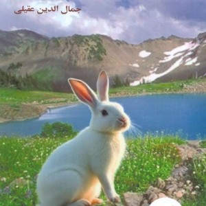 خرگوش سفید کوچولو