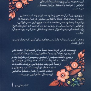من عاشقش نبودم