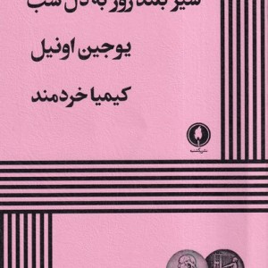 سیر بلند روز به دل شب