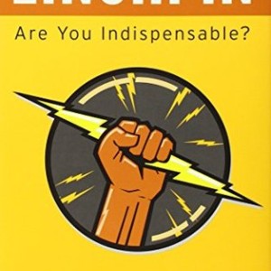 دانلود کتاب Linchpin اثر Seth Godin زبان اصلی