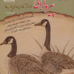 دنیای هنر خودآموز جامع پیروگرافی