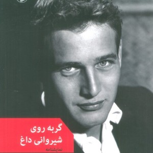 گربه روی شیروانی داغ