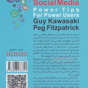 هنر رسانه های اجتماعی - پگ فیتزپاتریک، گای کاوازاکی