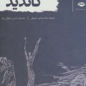 کتاب سخنگو کاندید
