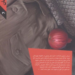 مهمان دجله