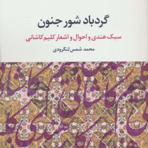 گردباد شور جنون