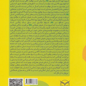 هوش برتر فعالیت هایی برای پرورش هوش هیجانی EQ ویژه 6 3 سال