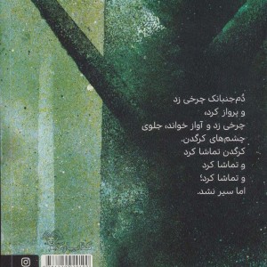 کرگدن ها هم عاشق می شوند