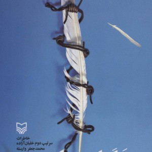 خلبان وارسته