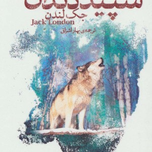 رمان های کلاسیک20