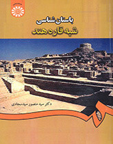 کتاب باستان شناسی شبه قاره هند