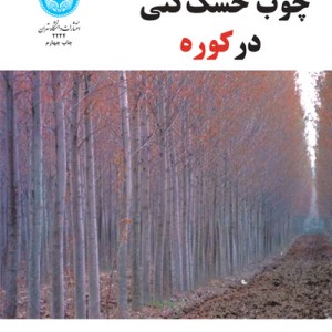 چوب خشک کنی در کوره