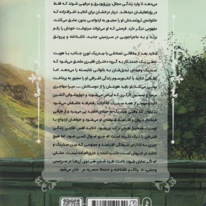 کتاب دربار درخشان 1 اثر ریشل مید ترجمه رباب پورعسگر
