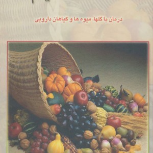 کتاب نسخه حکیم