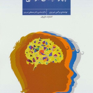 کتاب چهار حیطه ادراکی اثر نرگس تبریزی