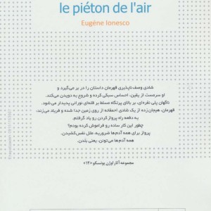 پیاده در هوا