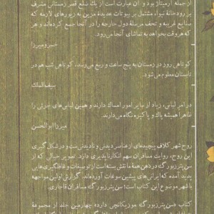 سن پترزبورگ موزیکانچی دارد