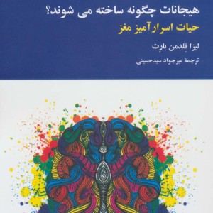 هیجانات چگونه ساخته می شوند