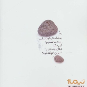 سرزمین سنگ پشت ها