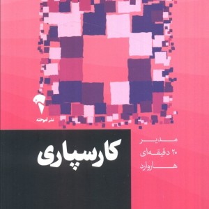 مدیر 20 دقیقه ای کارسپاری