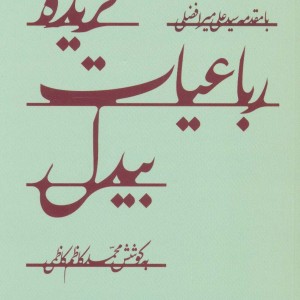 کتاب گزیده رباعیات بیدل اثر علی میرافضلی