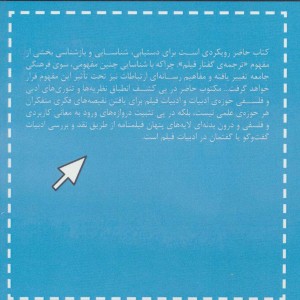 ترجمه گفتار فیلم در سینما و تلویزیون - بیژن چوبینه، نظام چوبینه