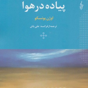 پیاده در هوا