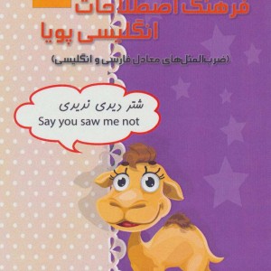 فرهنگ اصطلاحات انگلیسی پویا