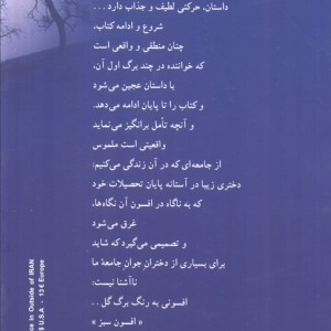 افسون سبز نشر شادان