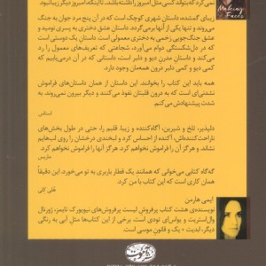 زیبای گمشده - امی هارمن