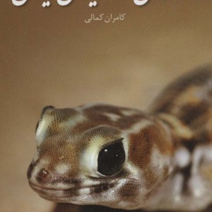 خزندگان و دوزیستان ایران