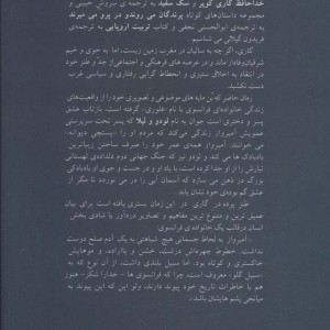 کتاب بادبادک ها