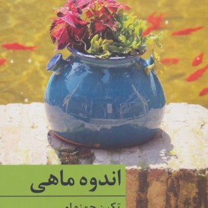 کتاب اندوه ماهی