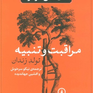 مراقبت و تنبیه