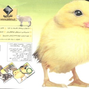 کتاب حسی اردک