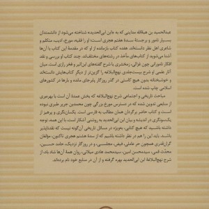 کتاب جلوه تاریخ در شرح نهج البلاغه