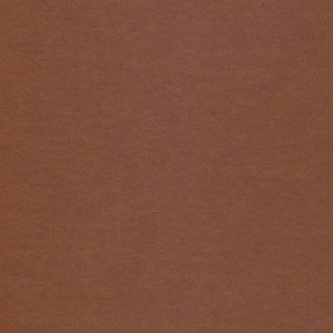 کتاب دیوان حافظ گلاسه باقاب چرم لب طلایی لیزری