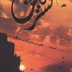 تشریف نشر شهرستان ادب