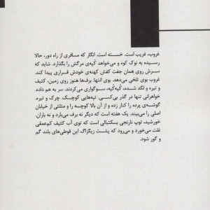باد ما را با خود برد - طلا نژادحسن
