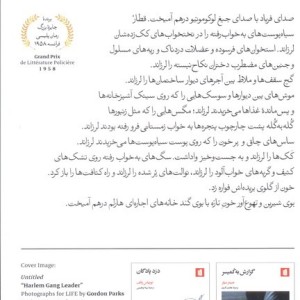 کتاب خشم در هارلم