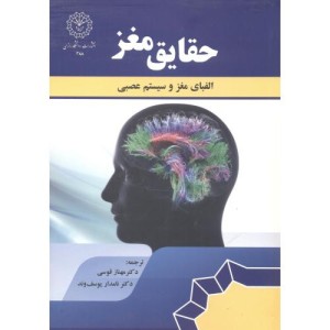 حقایق مغز